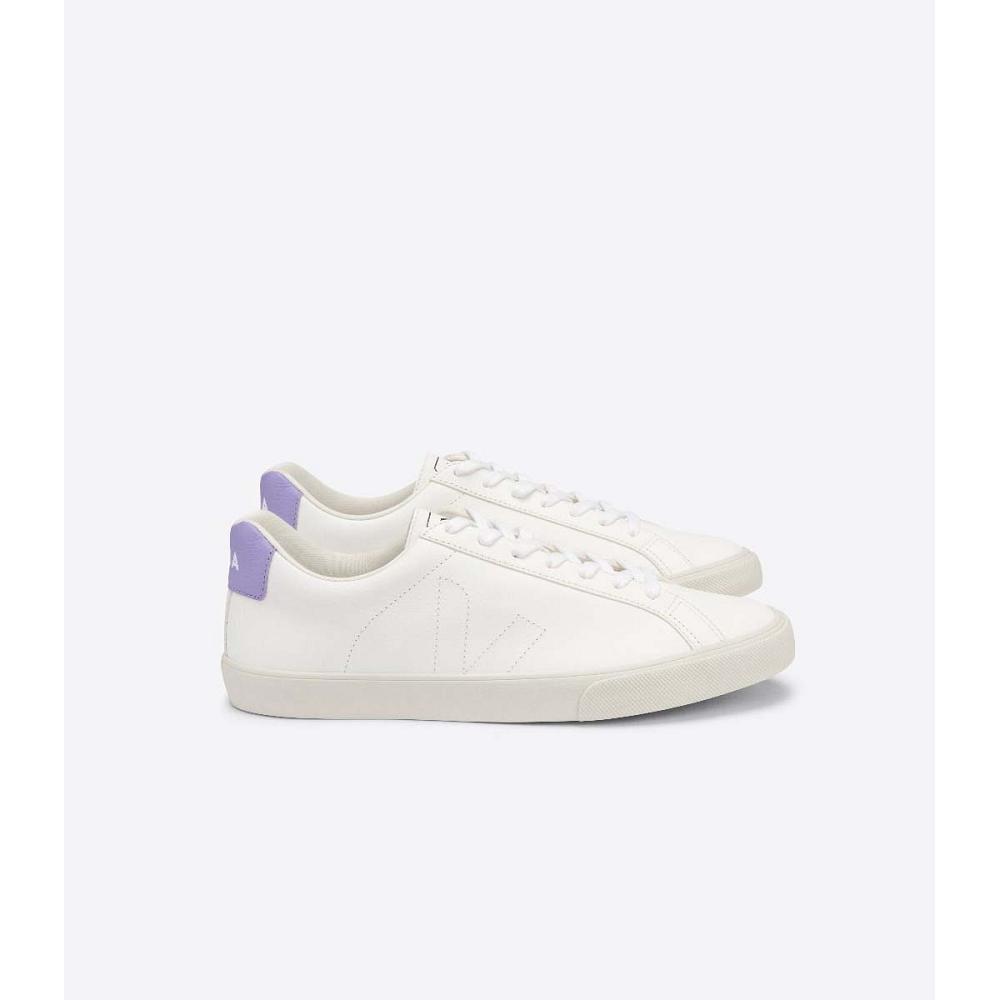 Veja ESPLAR CHROMEFREE Sneakers Dames White/Purple | NL 618LIS